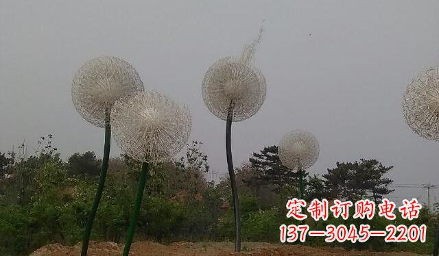 佛山蒲公英的绚丽多彩