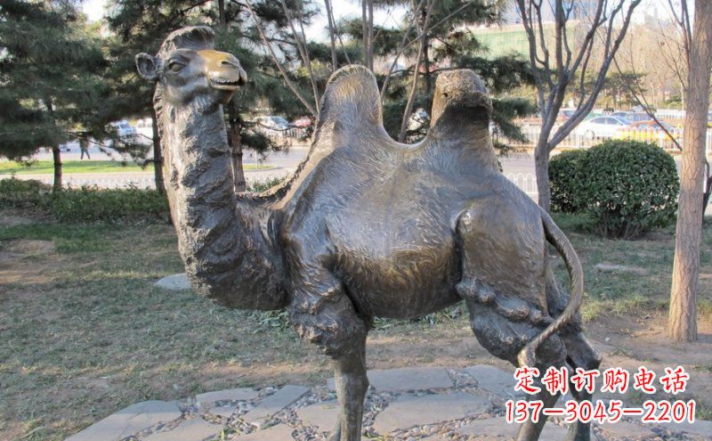 佛山公园骆驼动物铜雕 (4)