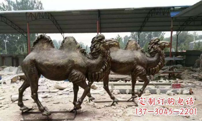 佛山典雅优美的骆驼铜雕