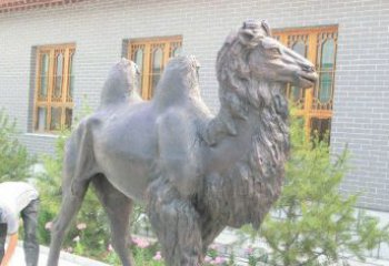 佛山精美的骆驼铜雕，提升您的公园气质