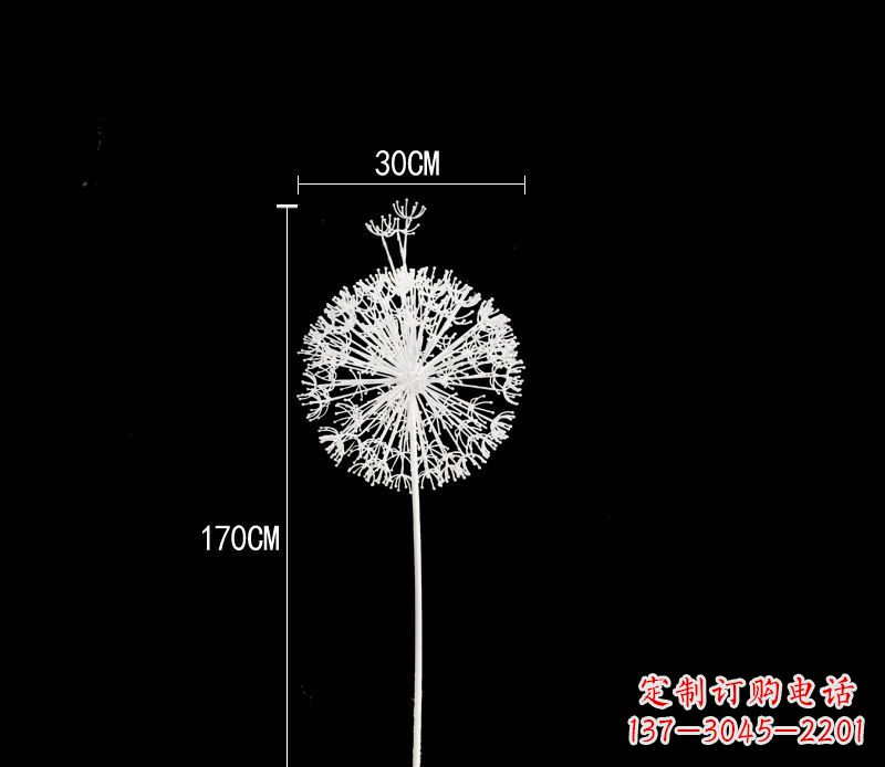 佛山美观耐用的不锈钢蒲公英雕塑